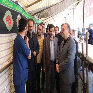 جلسه تسهیل مواکب استان همدان و بازدید از مواکب