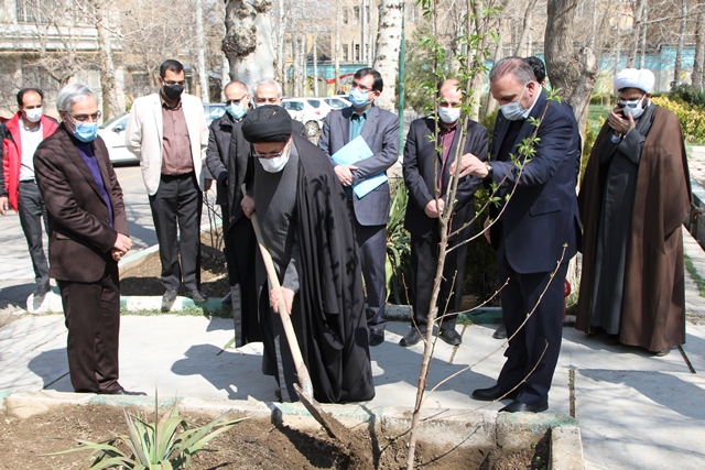 غرس نهال به یاد شهدا در توزیع برق استان همدان
